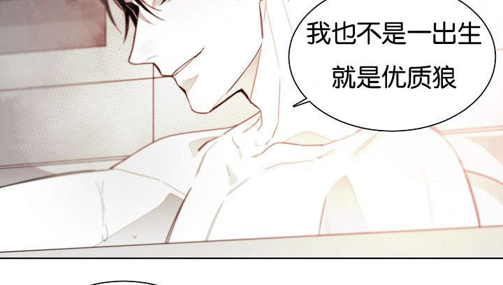 《狐狼之国/隐秘爱恋/沉溺》漫画最新章节第40话免费下拉式在线观看章节第【20】张图片