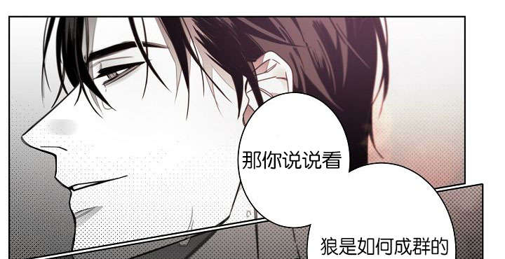 《狐狼之国/隐秘爱恋/沉溺》漫画最新章节第40话免费下拉式在线观看章节第【9】张图片