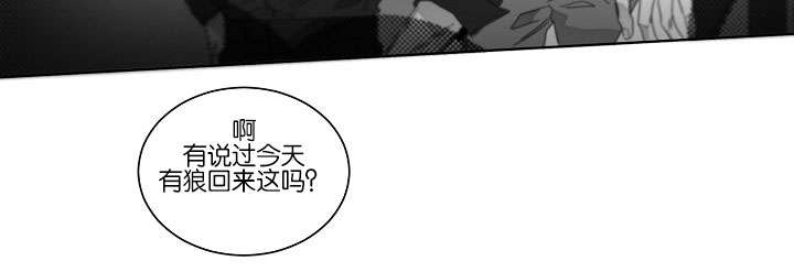 《狐狼之国/隐秘爱恋/沉溺》漫画最新章节第50话免费下拉式在线观看章节第【21】张图片