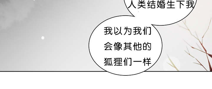 《狐狼之国/隐秘爱恋/沉溺》漫画最新章节第26话免费下拉式在线观看章节第【51】张图片