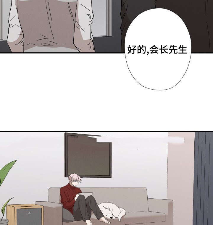 《捉迷藏》漫画最新章节第35话免费下拉式在线观看章节第【8】张图片