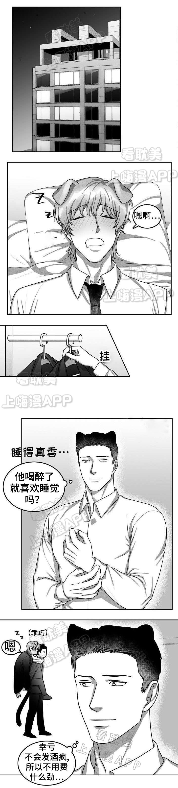 《为爱而狂/兽人同体》漫画最新章节第16话免费下拉式在线观看章节第【8】张图片