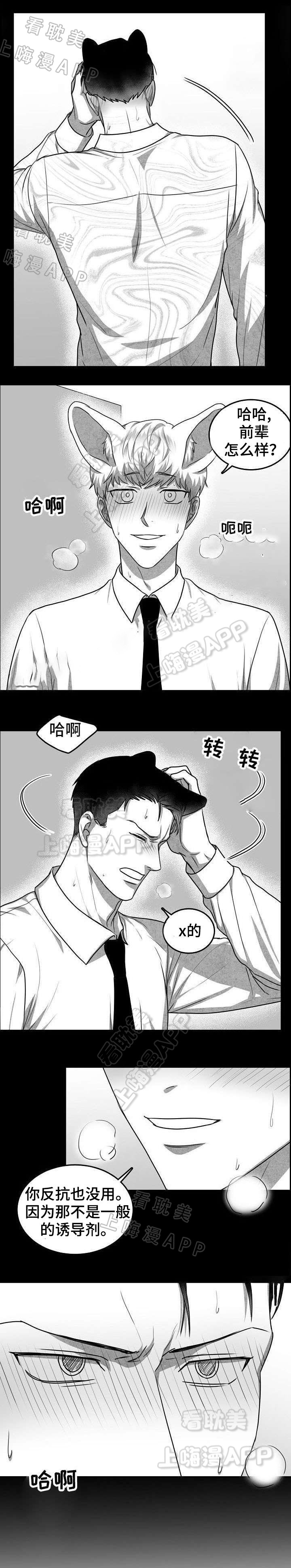 《为爱而狂/兽人同体》漫画最新章节第24话免费下拉式在线观看章节第【9】张图片