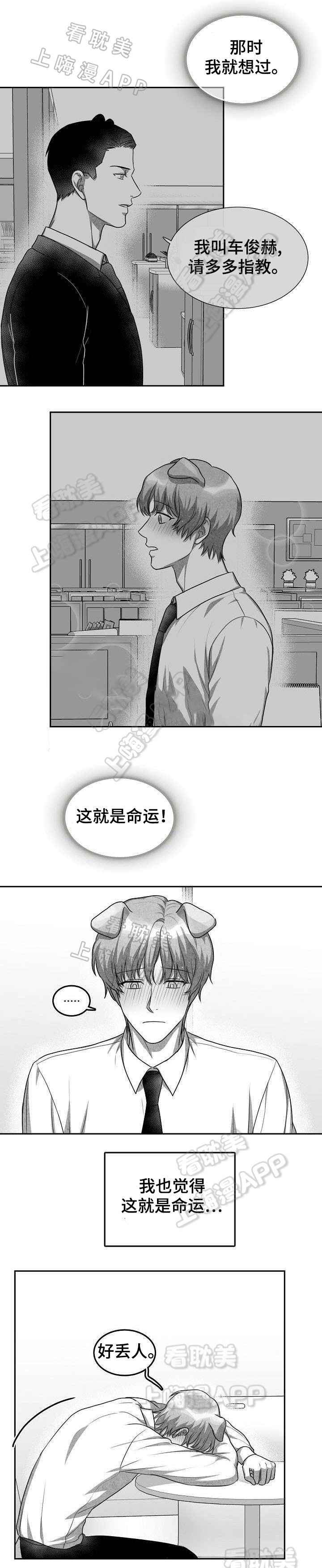 《为爱而狂/兽人同体》漫画最新章节第23话免费下拉式在线观看章节第【3】张图片