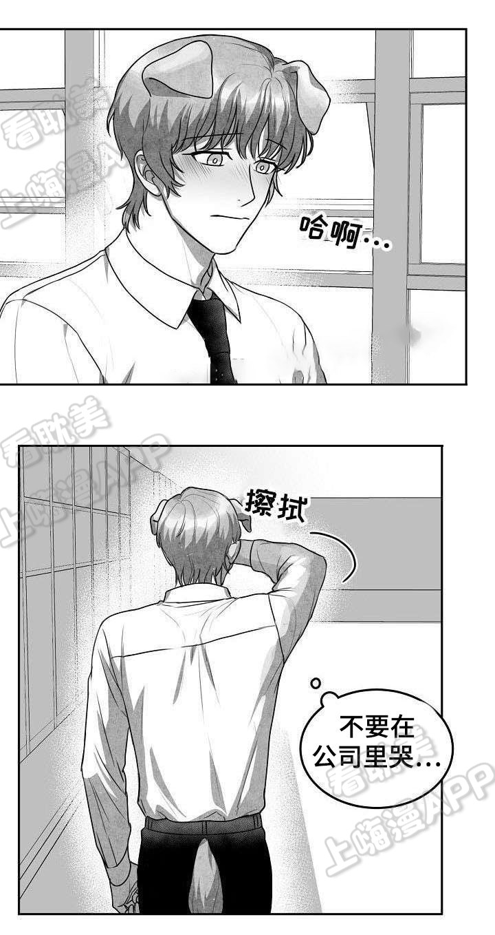 《为爱而狂/兽人同体》漫画最新章节第20话免费下拉式在线观看章节第【6】张图片