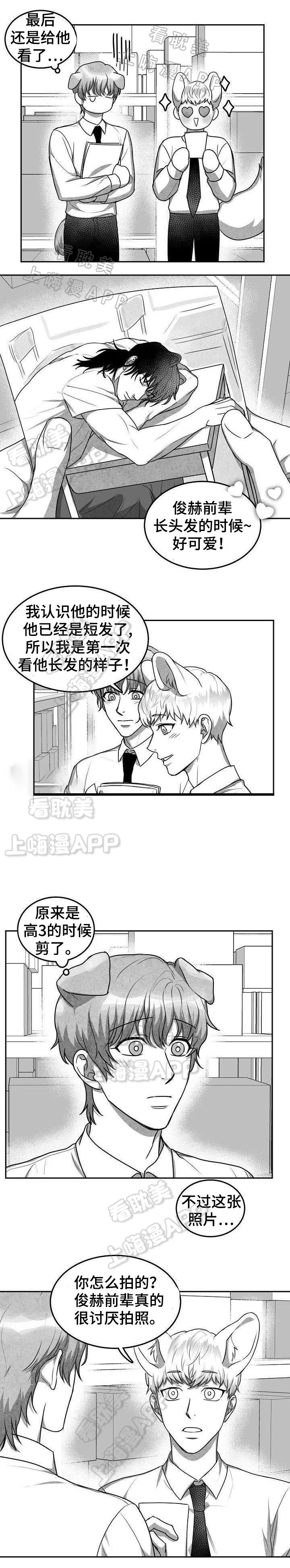 《为爱而狂/兽人同体》漫画最新章节第19话免费下拉式在线观看章节第【4】张图片