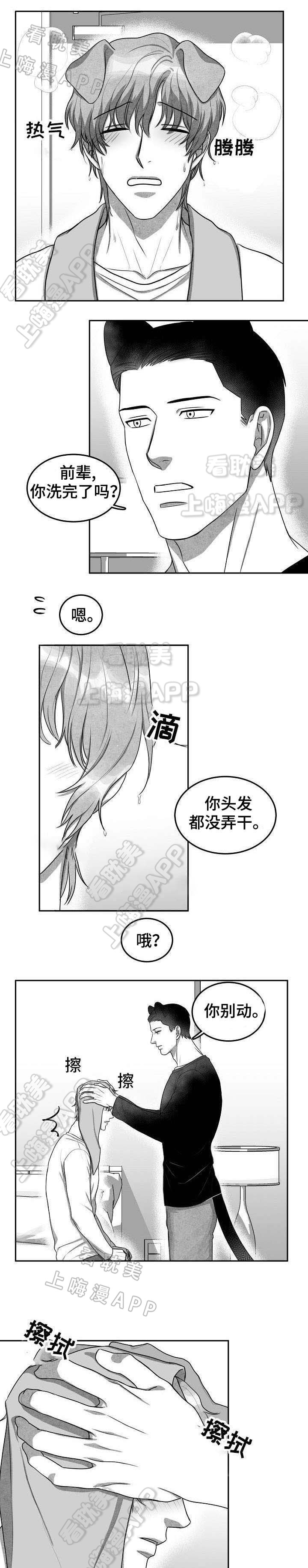 《为爱而狂/兽人同体》漫画最新章节第8话免费下拉式在线观看章节第【10】张图片