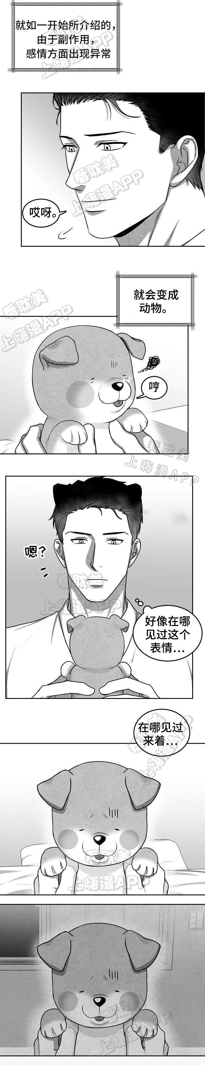 《为爱而狂/兽人同体》漫画最新章节第17话免费下拉式在线观看章节第【6】张图片