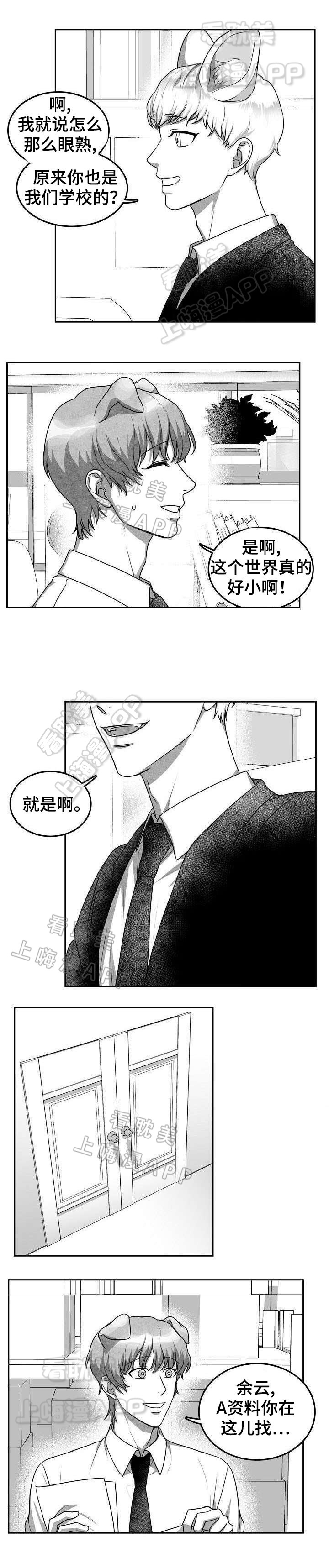 《为爱而狂/兽人同体》漫画最新章节第19话免费下拉式在线观看章节第【8】张图片