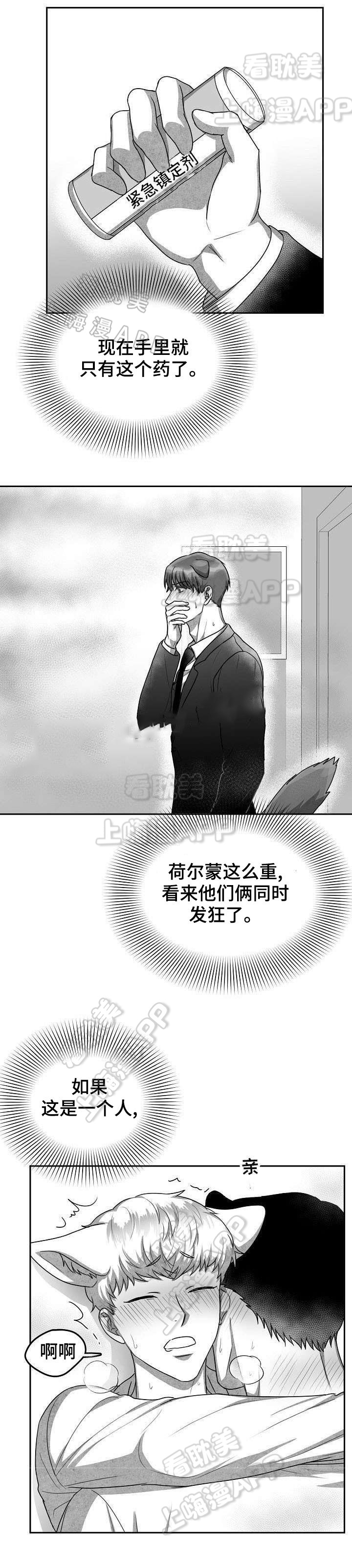 《为爱而狂/兽人同体》漫画最新章节第25话免费下拉式在线观看章节第【8】张图片