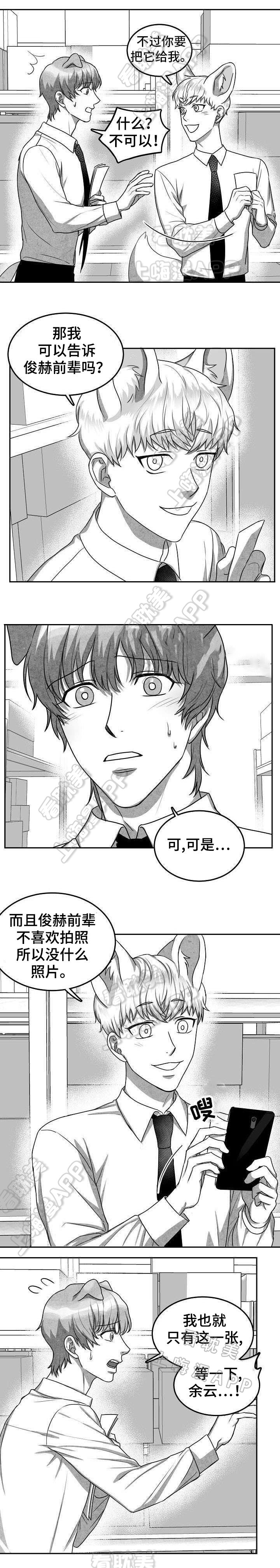 《为爱而狂/兽人同体》漫画最新章节第19话免费下拉式在线观看章节第【2】张图片