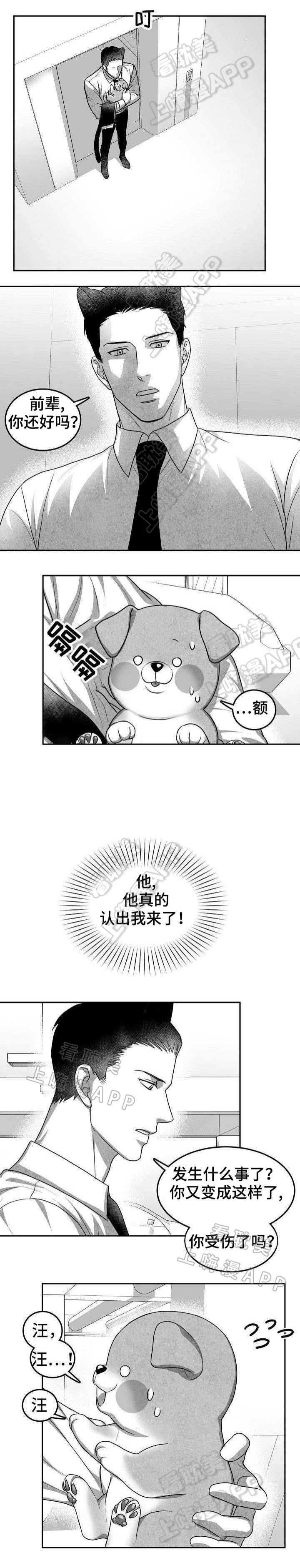 《为爱而狂/兽人同体》漫画最新章节第21话免费下拉式在线观看章节第【4】张图片