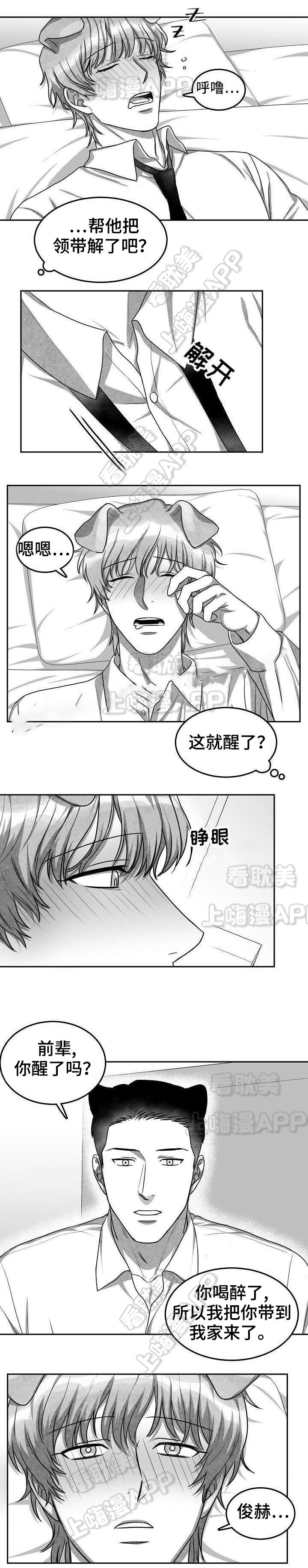 《为爱而狂/兽人同体》漫画最新章节第16话免费下拉式在线观看章节第【7】张图片