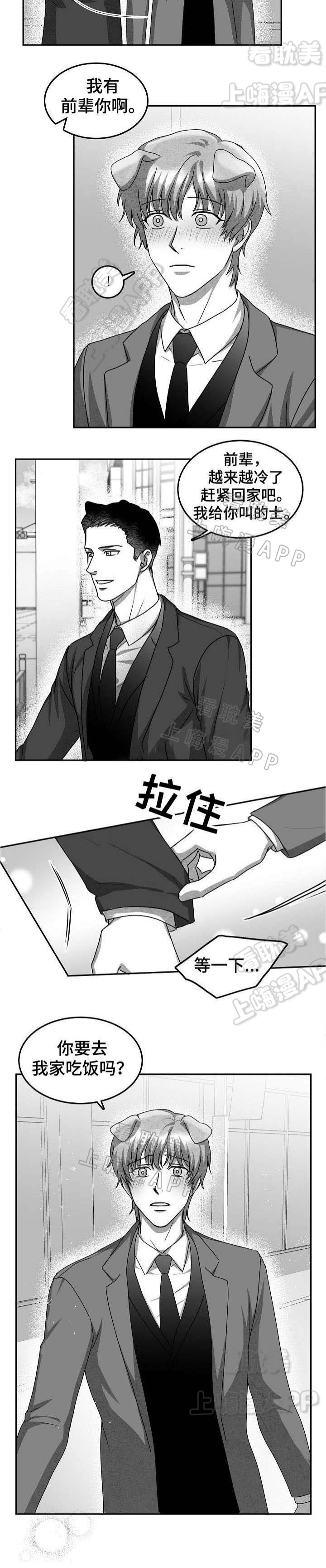 《为爱而狂/兽人同体》漫画最新章节第34话免费下拉式在线观看章节第【1】张图片