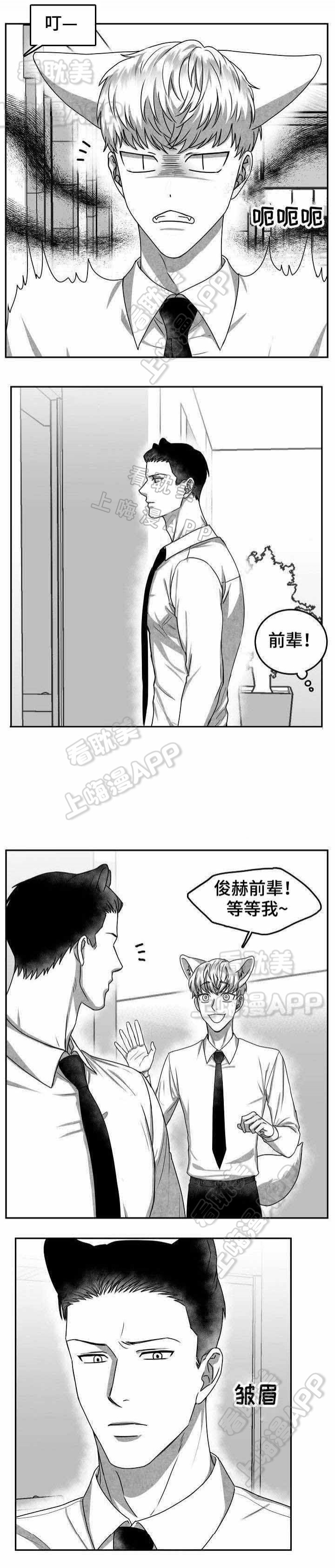 《为爱而狂/兽人同体》漫画最新章节第28话免费下拉式在线观看章节第【10】张图片