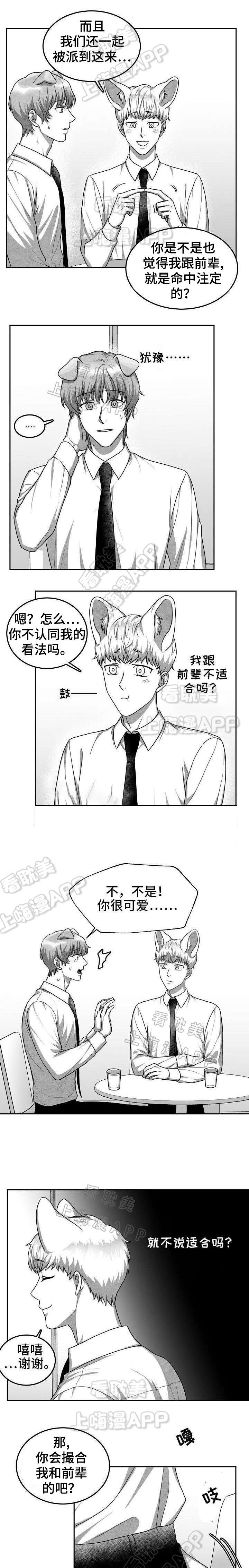 《为爱而狂/兽人同体》漫画最新章节第23话免费下拉式在线观看章节第【6】张图片