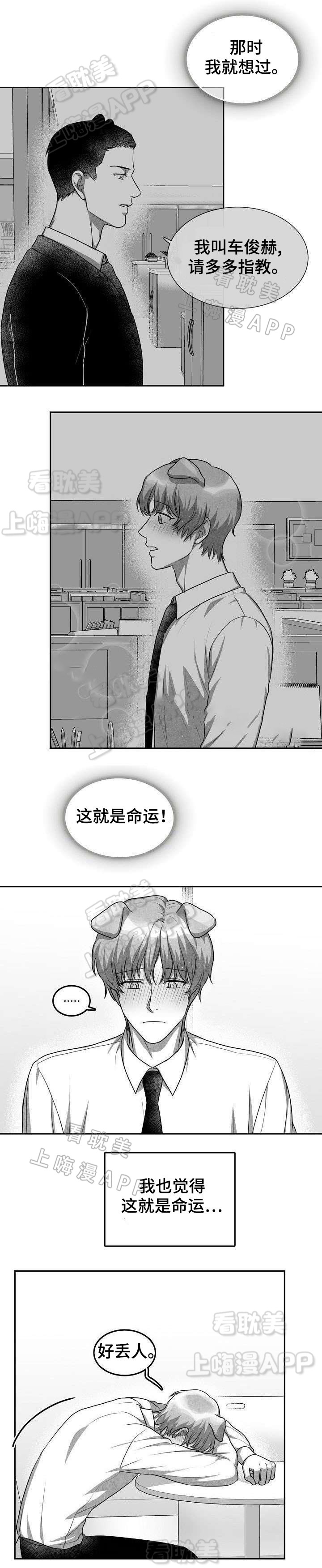 《为爱而狂/兽人同体》漫画最新章节第23话免费下拉式在线观看章节第【2】张图片