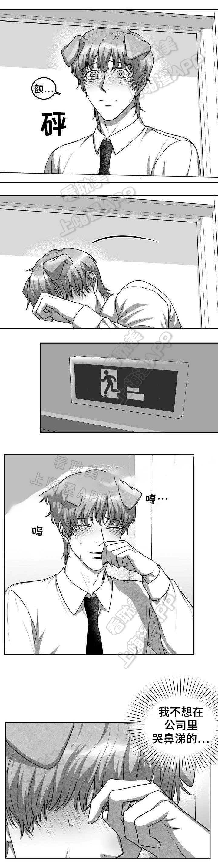 《为爱而狂/兽人同体》漫画最新章节第20话免费下拉式在线观看章节第【4】张图片