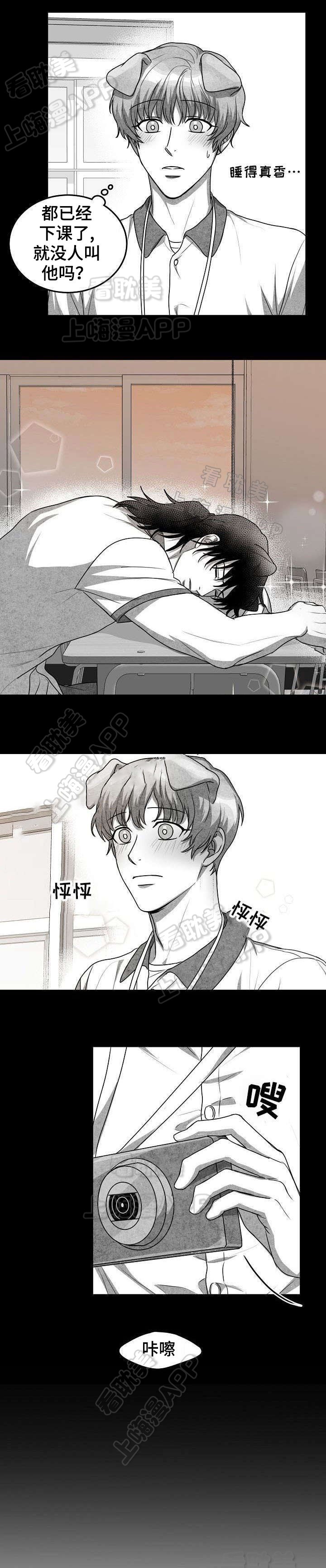 《为爱而狂/兽人同体》漫画最新章节第20话免费下拉式在线观看章节第【7】张图片