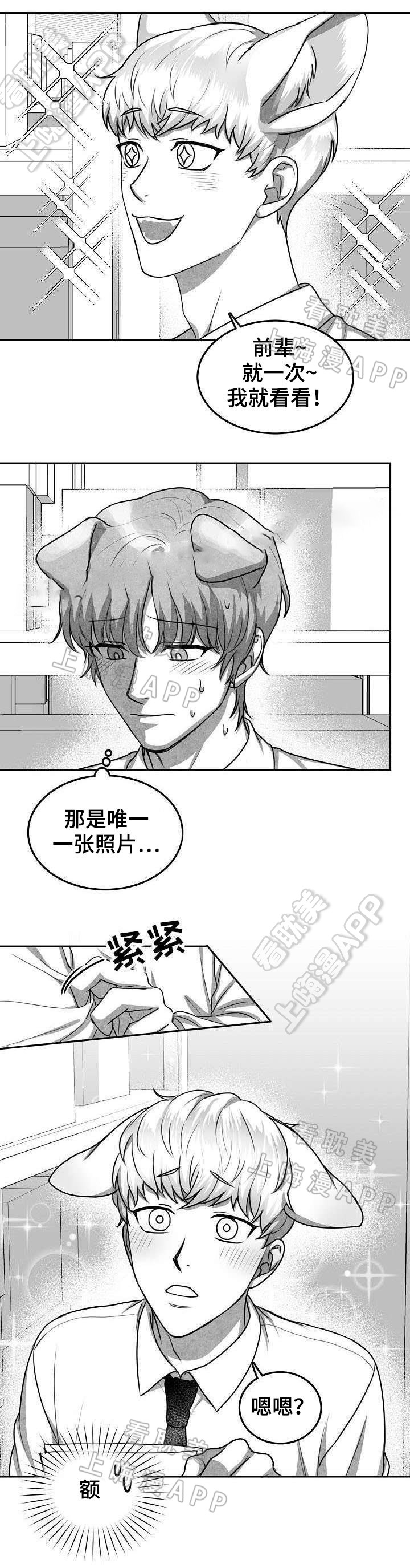 《为爱而狂/兽人同体》漫画最新章节第19话免费下拉式在线观看章节第【5】张图片