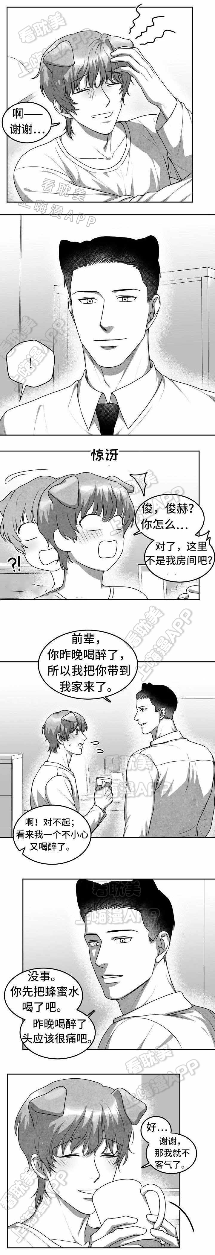 《为爱而狂/兽人同体》漫画最新章节第18话免费下拉式在线观看章节第【6】张图片