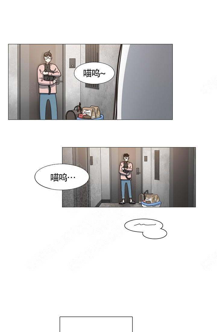 《自炊料理王》漫画最新章节第3话免费下拉式在线观看章节第【6】张图片