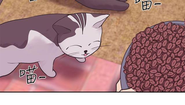 《狩猎女神》漫画最新章节第37话免费下拉式在线观看章节第【17】张图片