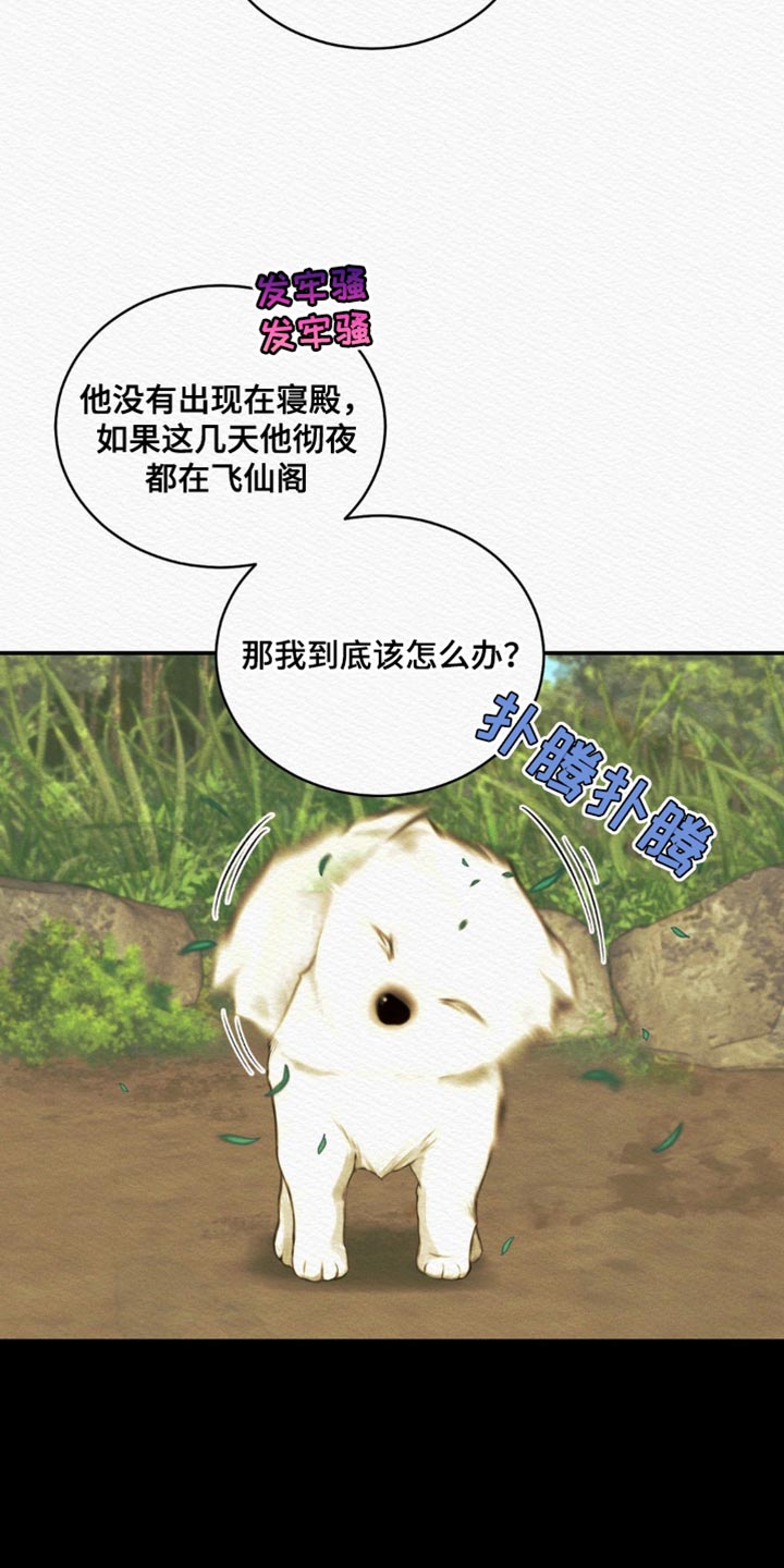 《阴语默录》漫画最新章节第74章：【第二季】去找他免费下拉式在线观看章节第【35】张图片