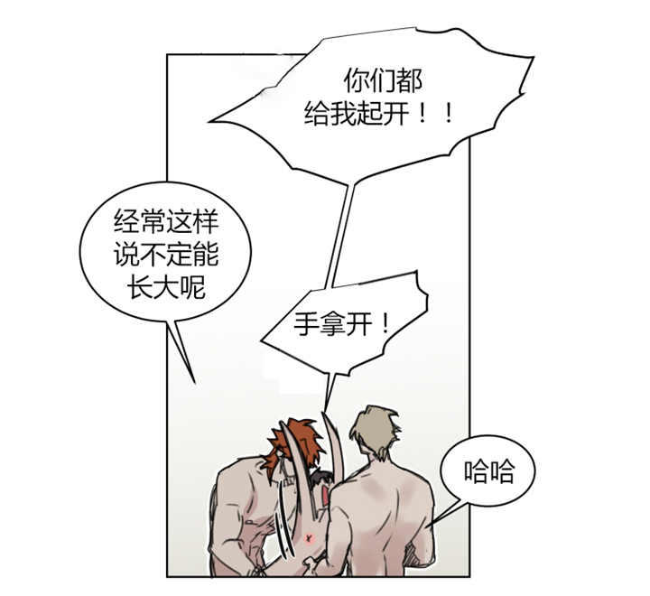 《死亡之鸟的凝视》漫画最新章节第65话免费下拉式在线观看章节第【5】张图片