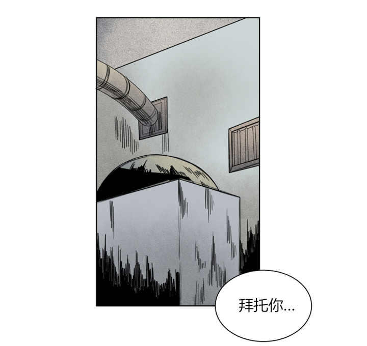 《死亡之鸟的凝视》漫画最新章节第49话免费下拉式在线观看章节第【3】张图片