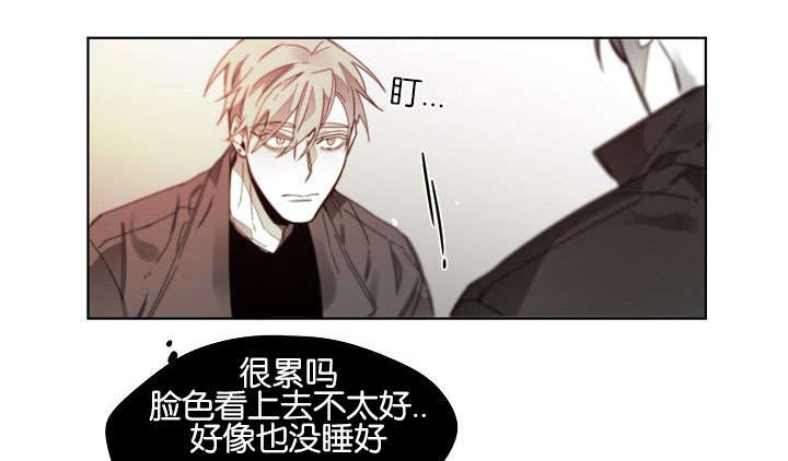 《狐狼之国/隐秘爱恋/沉溺》漫画最新章节第45话免费下拉式在线观看章节第【34】张图片