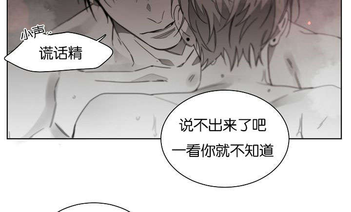 《狐狼之国/隐秘爱恋/沉溺》漫画最新章节第40话免费下拉式在线观看章节第【4】张图片