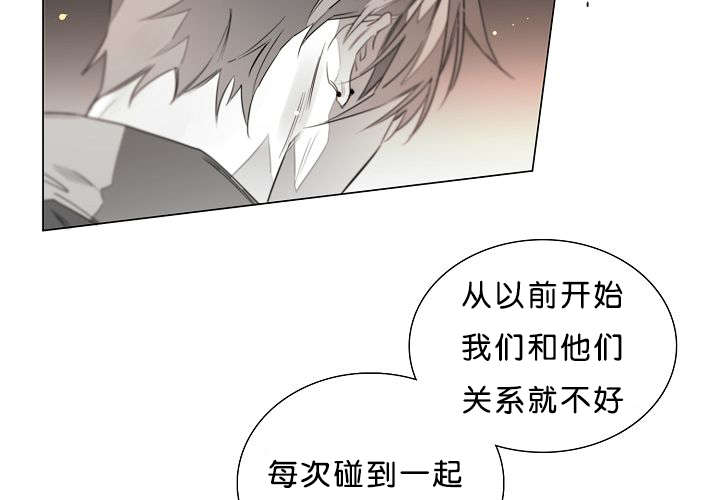 《狐狼之国/隐秘爱恋/沉溺》漫画最新章节第14话免费下拉式在线观看章节第【10】张图片