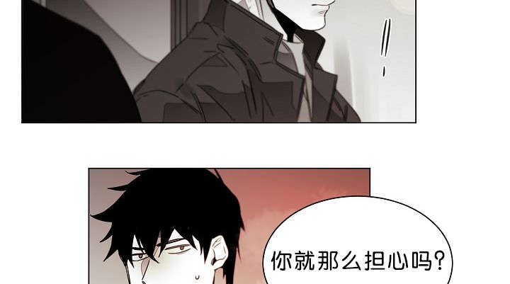 《狐狼之国/隐秘爱恋/沉溺》漫画最新章节第27话免费下拉式在线观看章节第【9】张图片