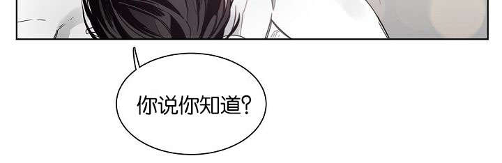 《狐狼之国/隐秘爱恋/沉溺》漫画最新章节第40话免费下拉式在线观看章节第【10】张图片