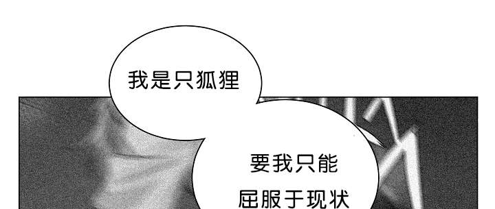 《狐狼之国/隐秘爱恋/沉溺》漫画最新章节第26话免费下拉式在线观看章节第【40】张图片