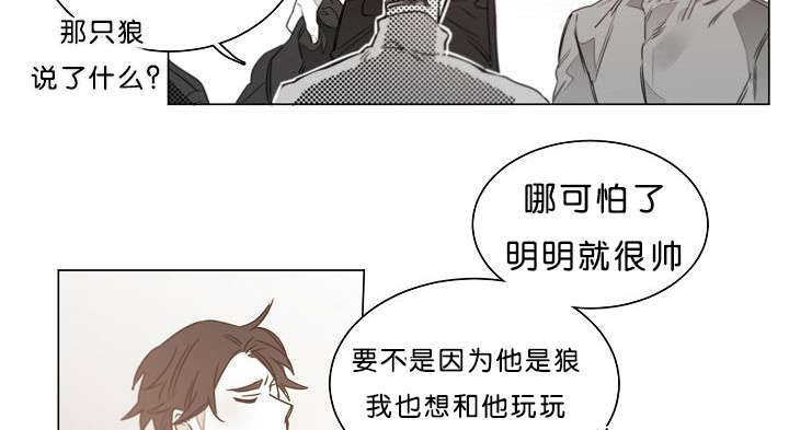 《狐狼之国/隐秘爱恋/沉溺》漫画最新章节第20话免费下拉式在线观看章节第【24】张图片