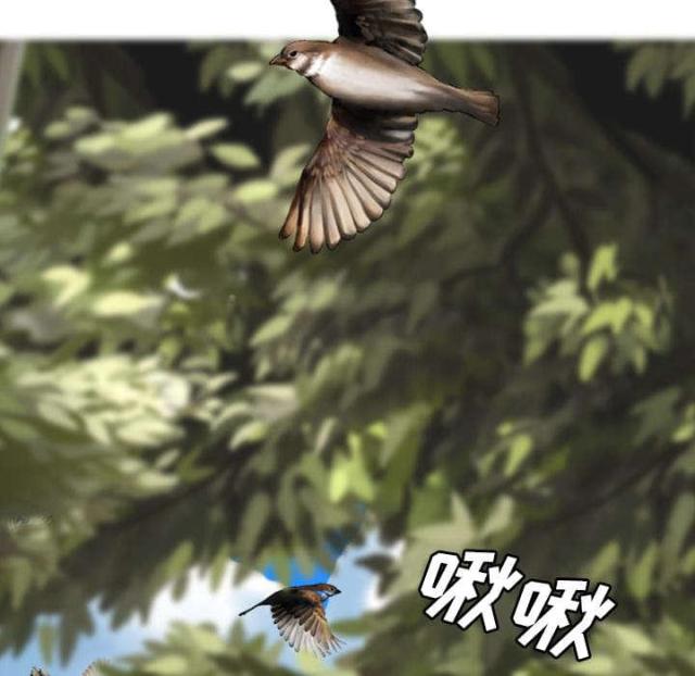 《樱花下的约定》漫画最新章节第55话免费下拉式在线观看章节第【54】张图片