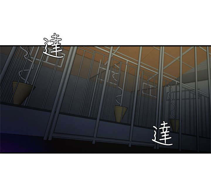 《圈养计划》漫画最新章节第1话免费下拉式在线观看章节第【12】张图片