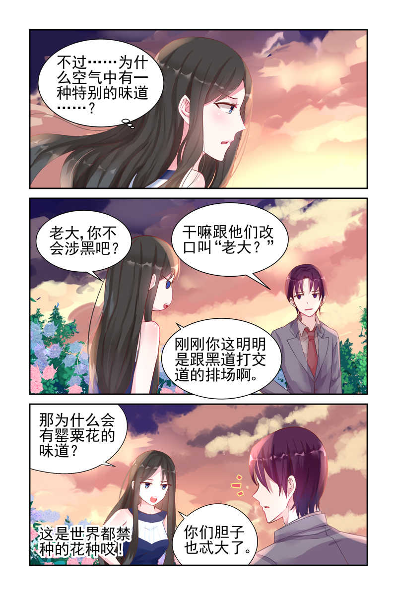 《霸情恶少：调教小逃妻》漫画最新章节第39话免费下拉式在线观看章节第【7】张图片