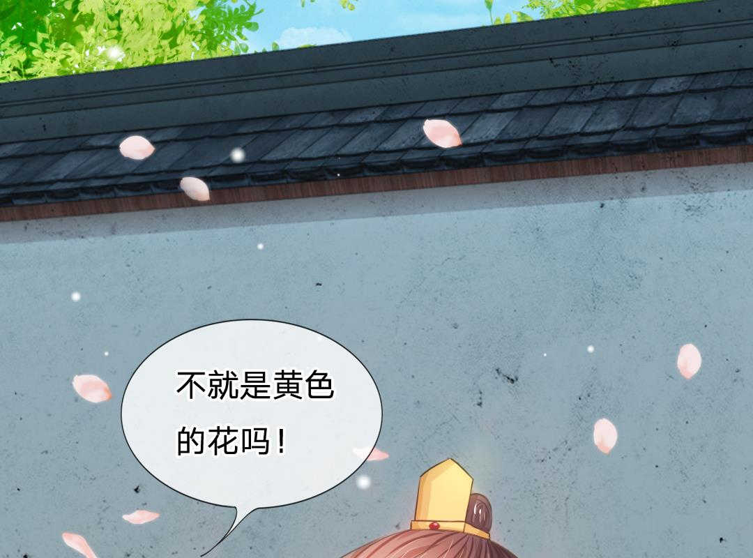 《系统逼我做皇后》漫画最新章节第5话免费下拉式在线观看章节第【34】张图片