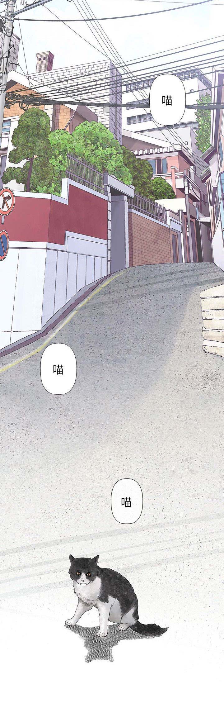 《奇趣新人》漫画最新章节第57话免费下拉式在线观看章节第【8】张图片