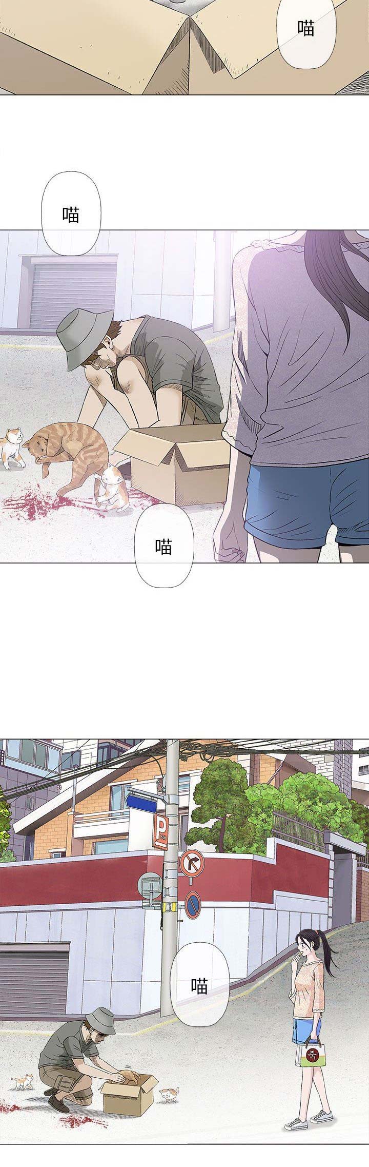 《奇趣新人》漫画最新章节第59话免费下拉式在线观看章节第【6】张图片